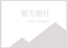 海南夏岚化学有限公司